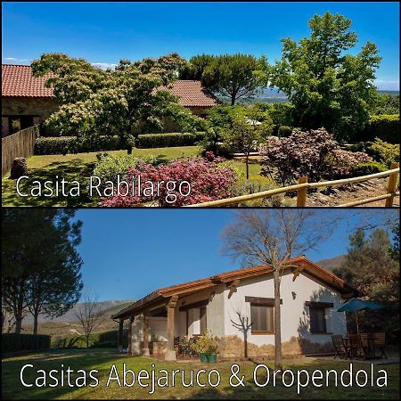 Finca La Sayuela El Raso Exterior foto
