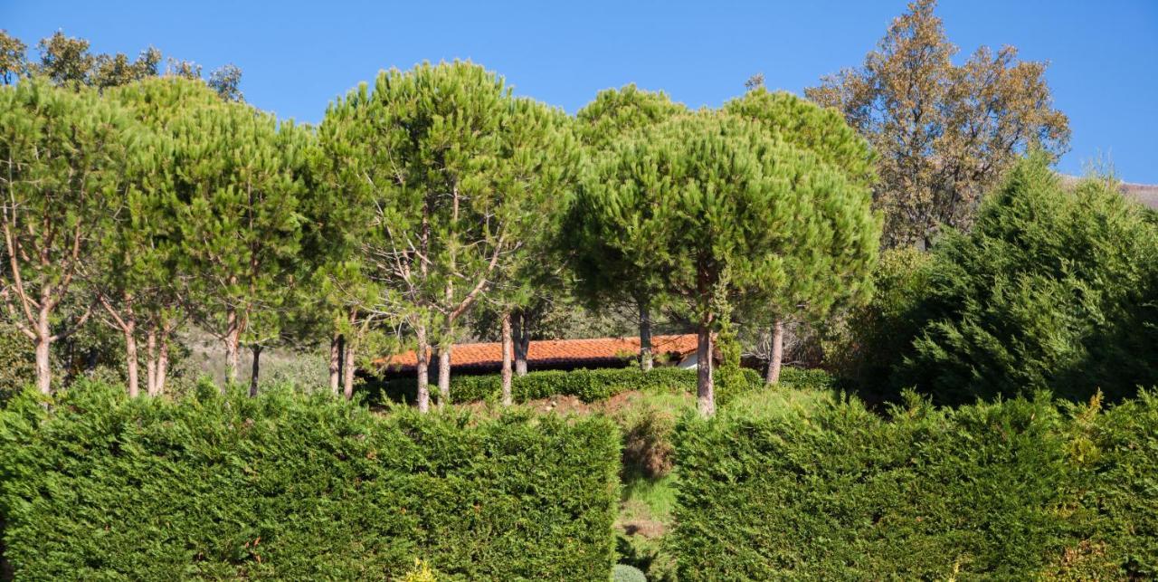 Finca La Sayuela El Raso Exterior foto